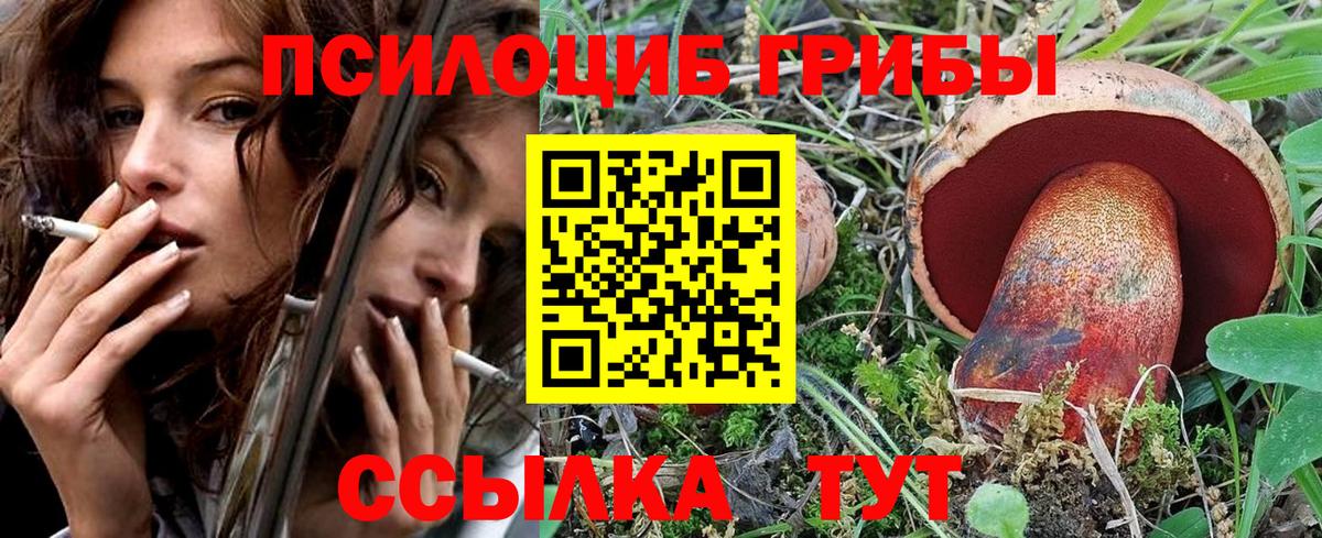 Сарапул  Псилоцибиновые грибы мицелий  Вход с VPN 